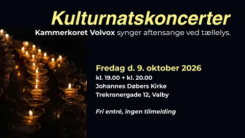 Kulturnatskoncerter med Kammerkoret Volvox